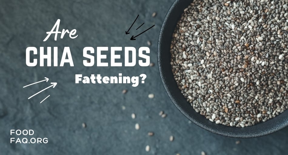 Are Chia Seeds Fattening?