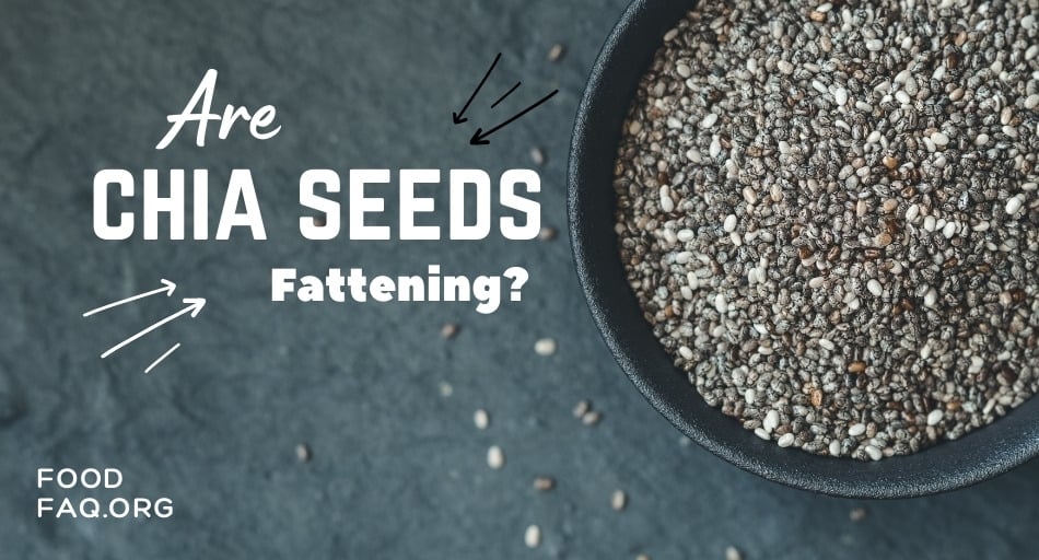 Are Chia Seeds Fattening