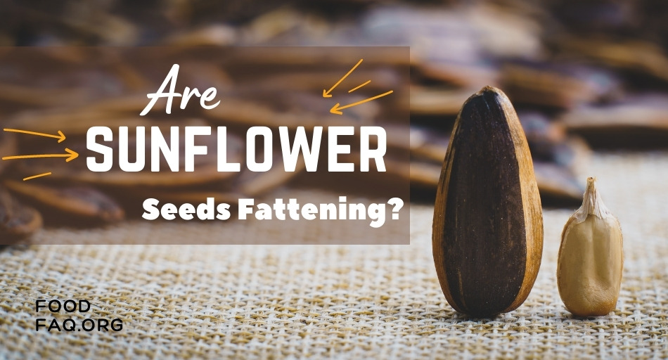 Are Sunflower Seeds Fattening?
