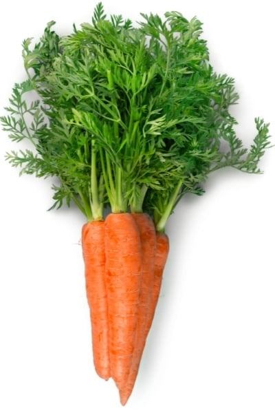 Are carrots fattening?