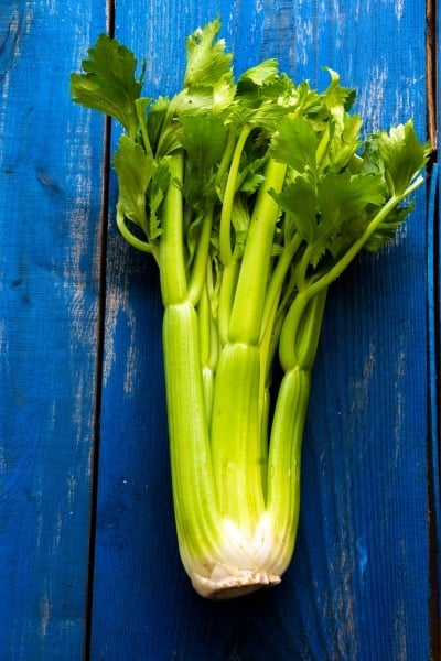 Celery