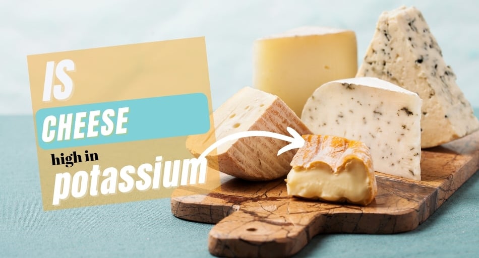 Is Cheese High in Potassium?