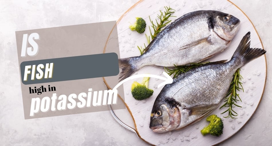 Is Fish High in Potassium
