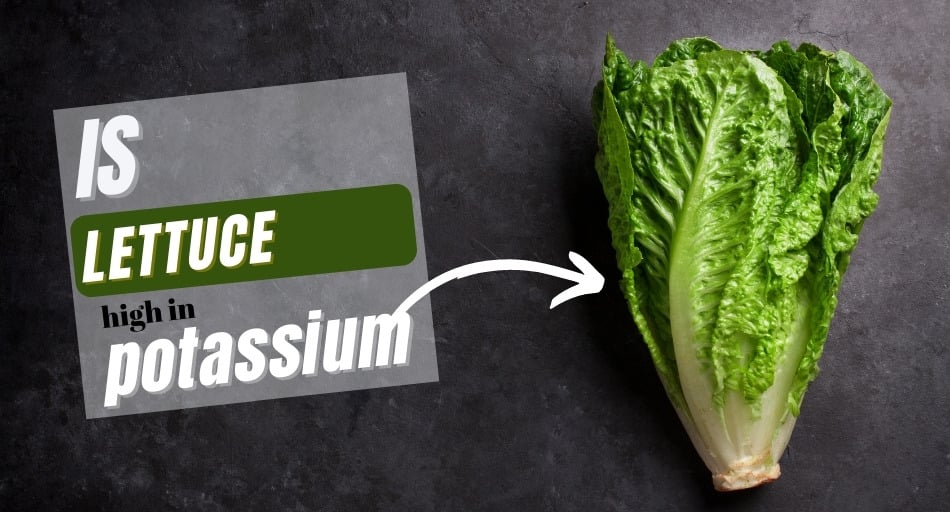 Is Lettuce High in Potassium?