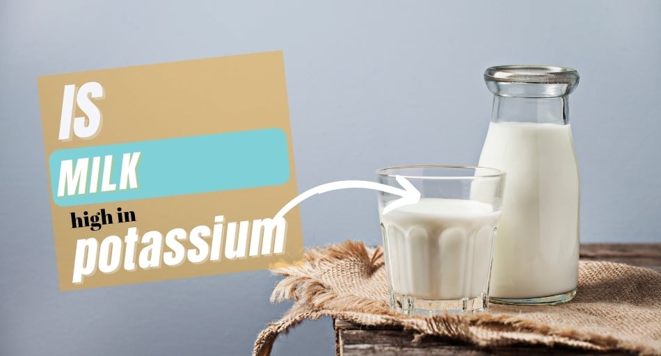 Is Milk High In Potassium