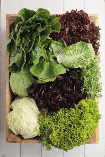 Various Lettuce