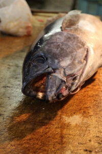 Does Tuna Cause Heartburn? - Tastylicious