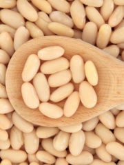 12 Cannellini Beans Substitutes for Cooking