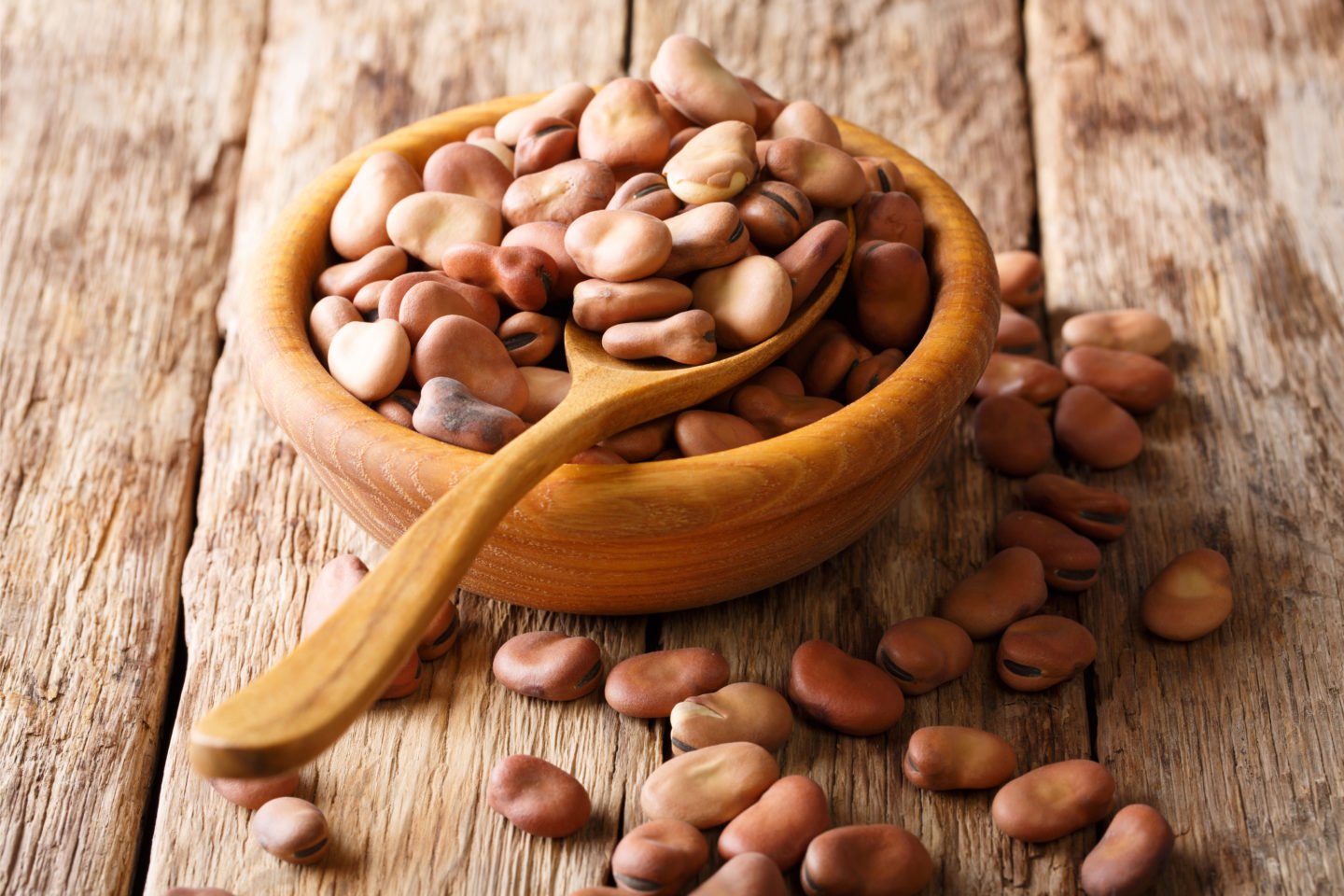 fava beans in wooden bowl