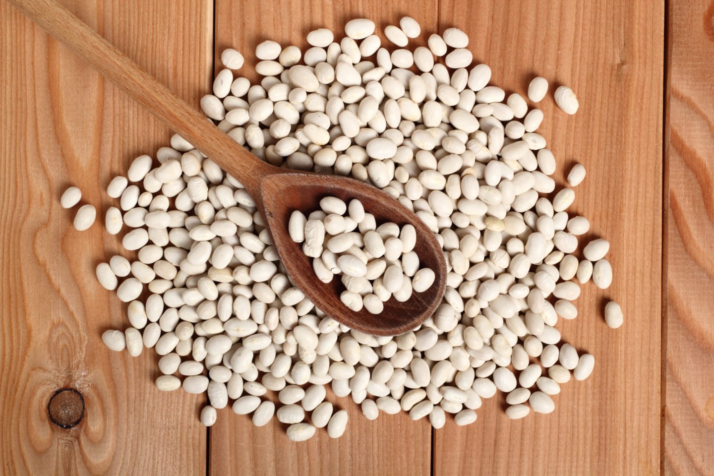 navy beans on table and spoon