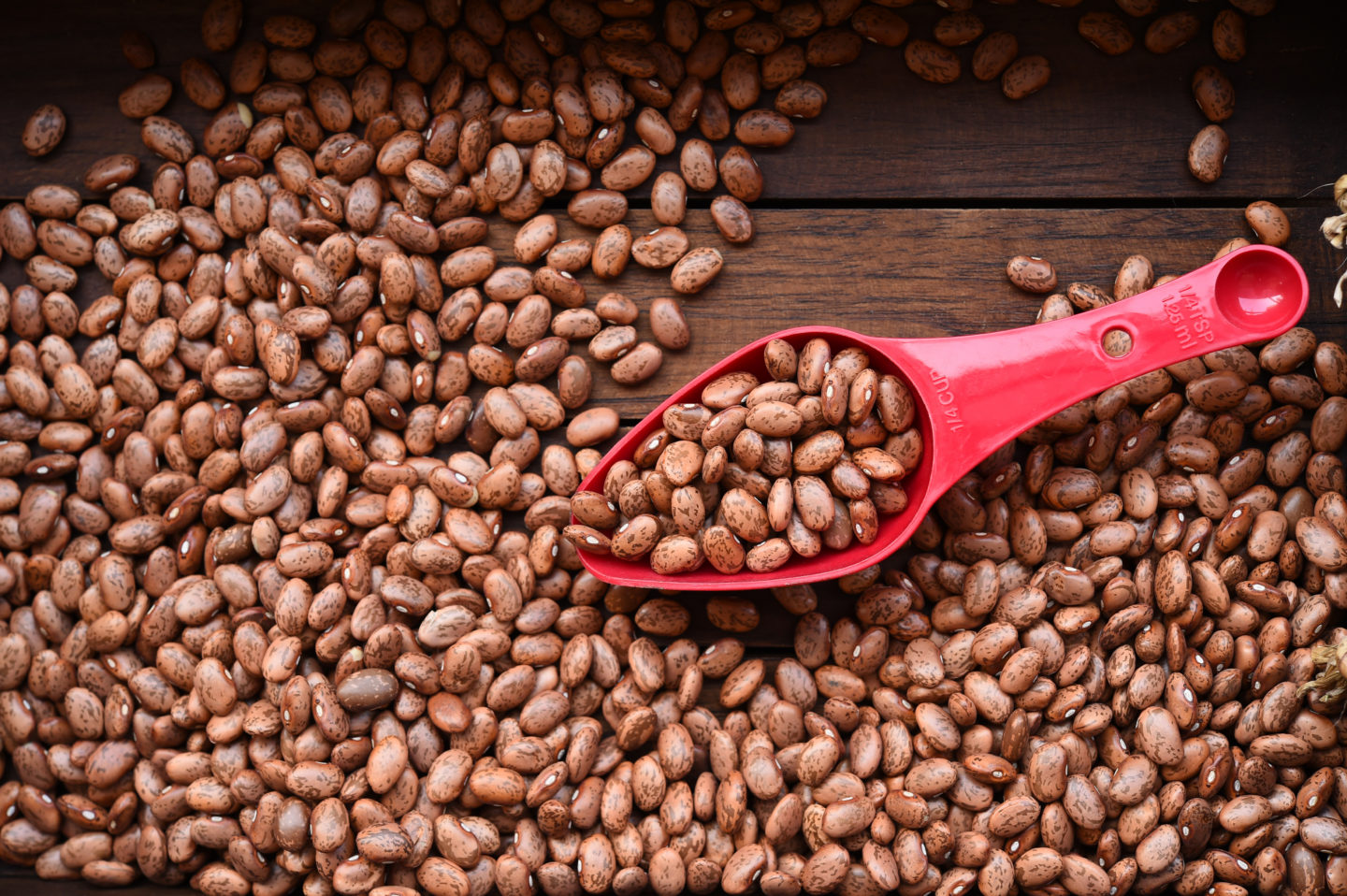 pinto beans in measuring spoon