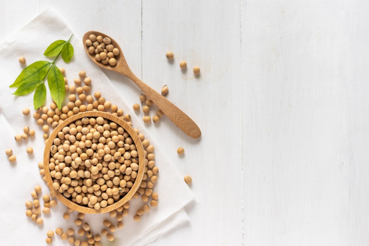 soybeans on white table