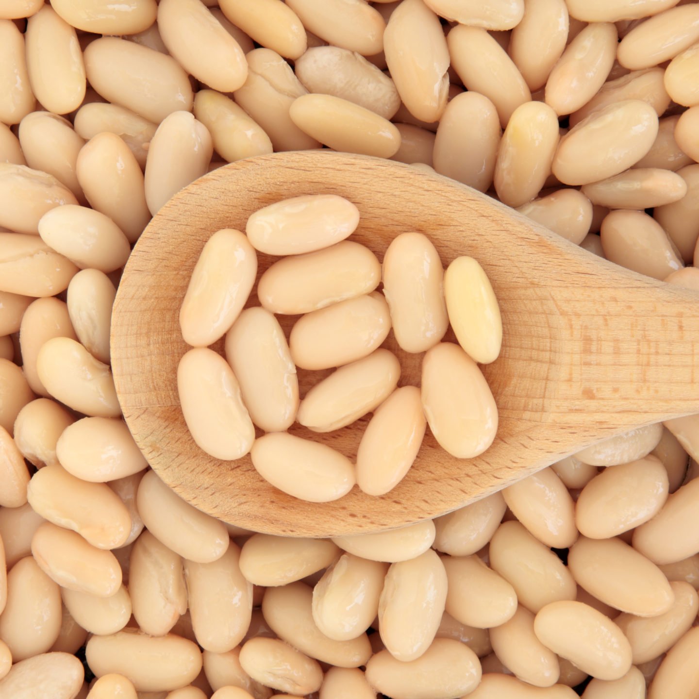 cannellini beans in spoon