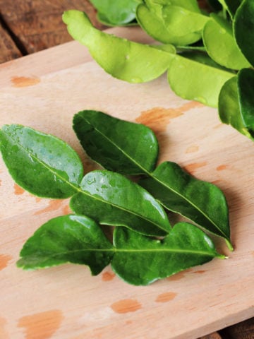 12 Best Kaffir Lime Leaves Substitutes for Cooking