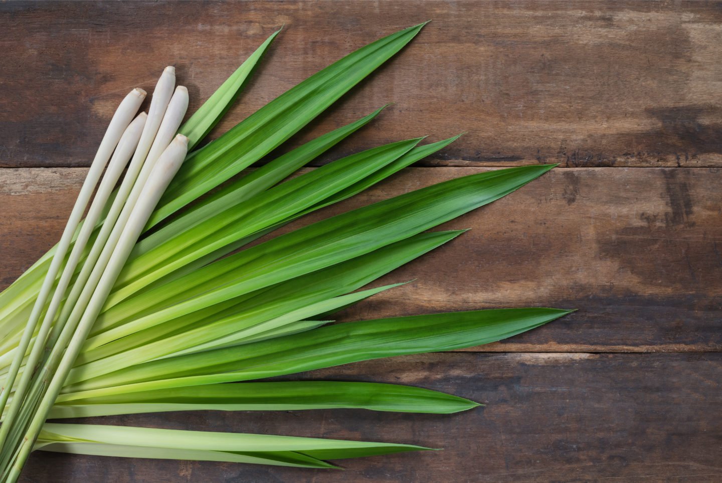 lemon grass, pandan leaves on table