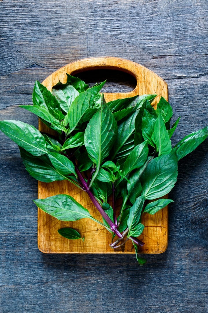 12 Best Kaffir Lime Leaves Substitutes for Cooking Tastylicious