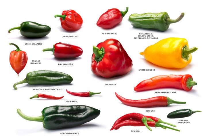 12 Best Poblano Pepper Substitutes for Cooking - Tastylicious