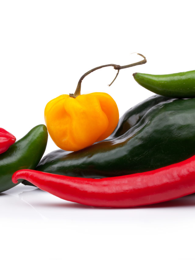 Are Bell Peppers Acidic or Alkaline? (2022 UPDATE) Tastylicious