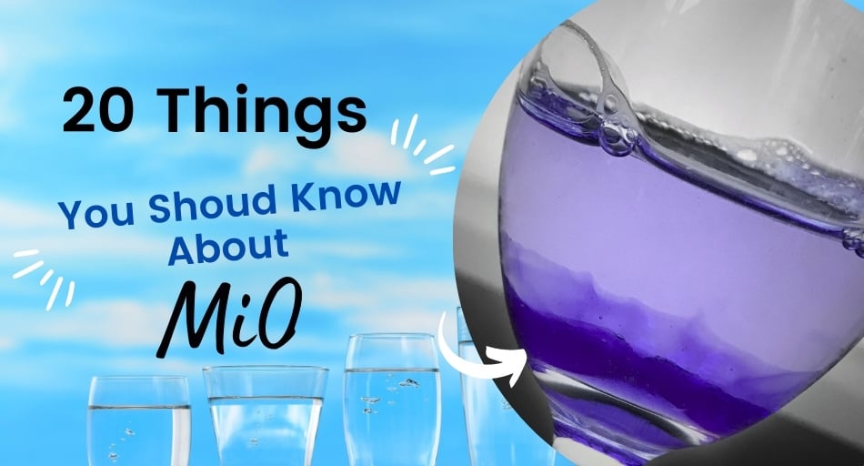 20 Things You Should Know About MiO