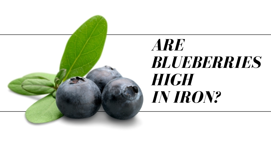 Are Blueberries High In Iron