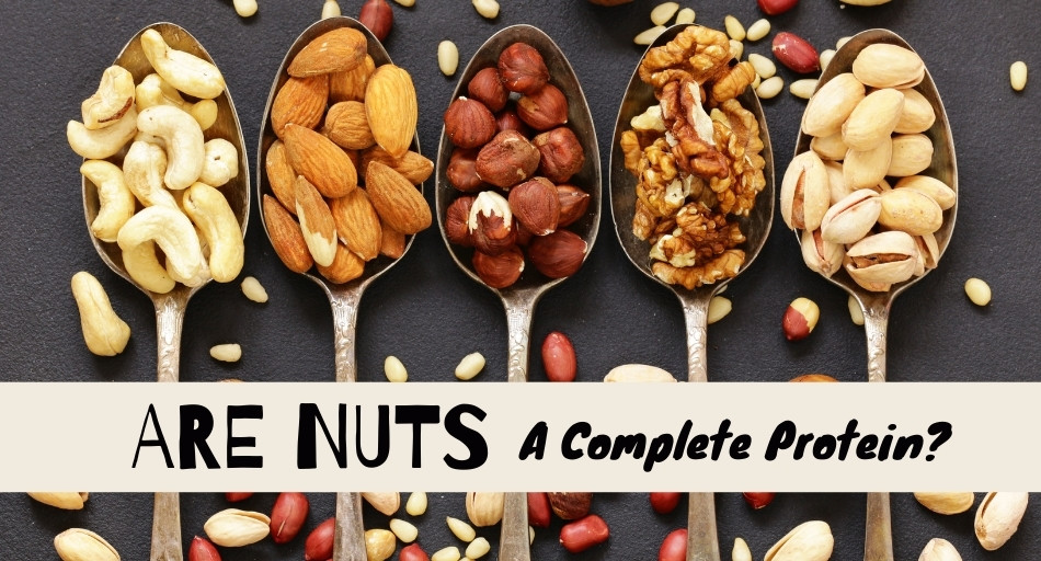 Are Nuts A Complete Protein?