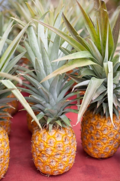 How can pineapple cause heartburn?