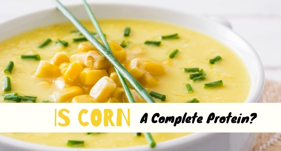 Is Corn a Complete Protein?