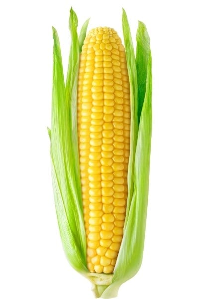 Is Corn Low FODMAP?