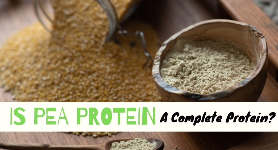 Is Pea Protein a Complete Protein?