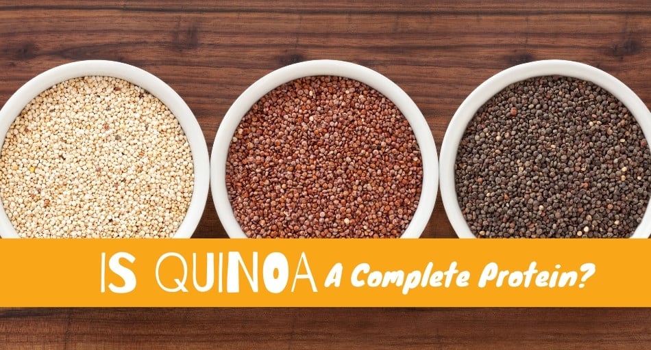 Is Quinoa A Complete Protein?