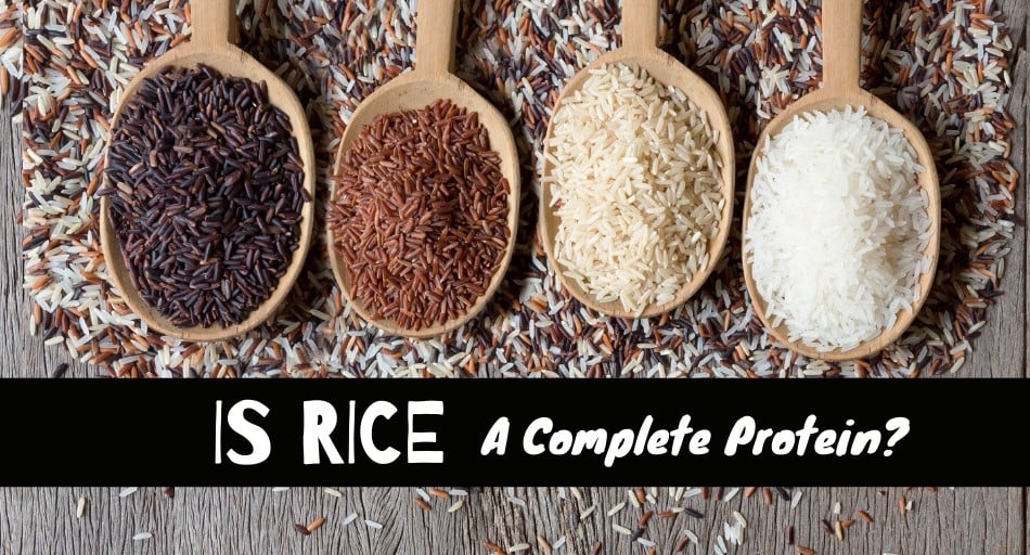 Is Rice A Complete Protein