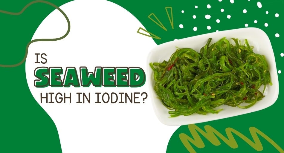 Is Seaweed High In Iodine? (Quick Read)