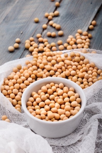 Is Soy A Complete Protein?