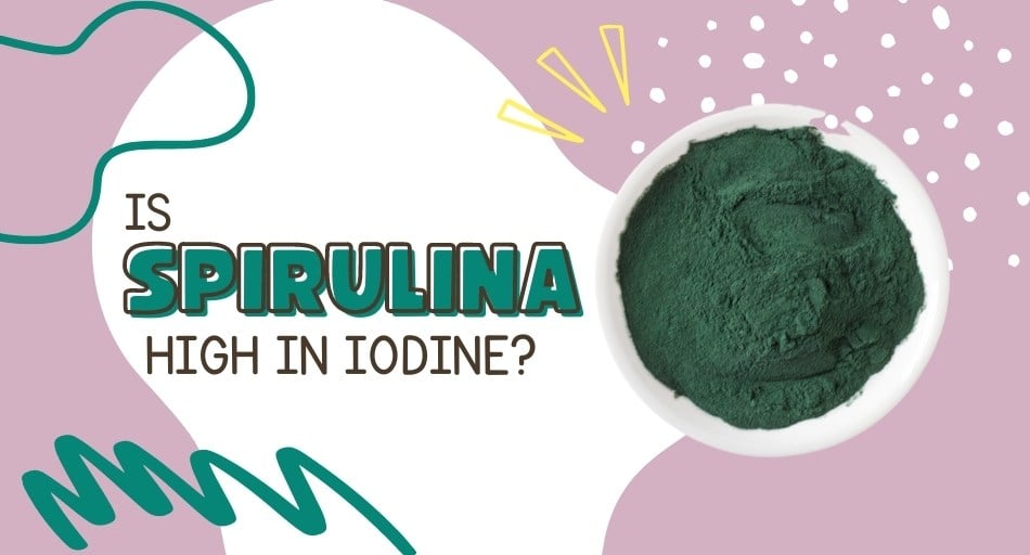 Is Spirulina High In Iodine? (Quick Facts)