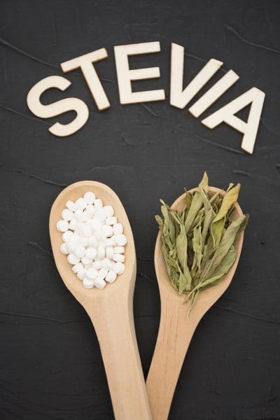 Stevia 