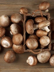 16 Best Cremini Mushroom Substitutes for Cooking