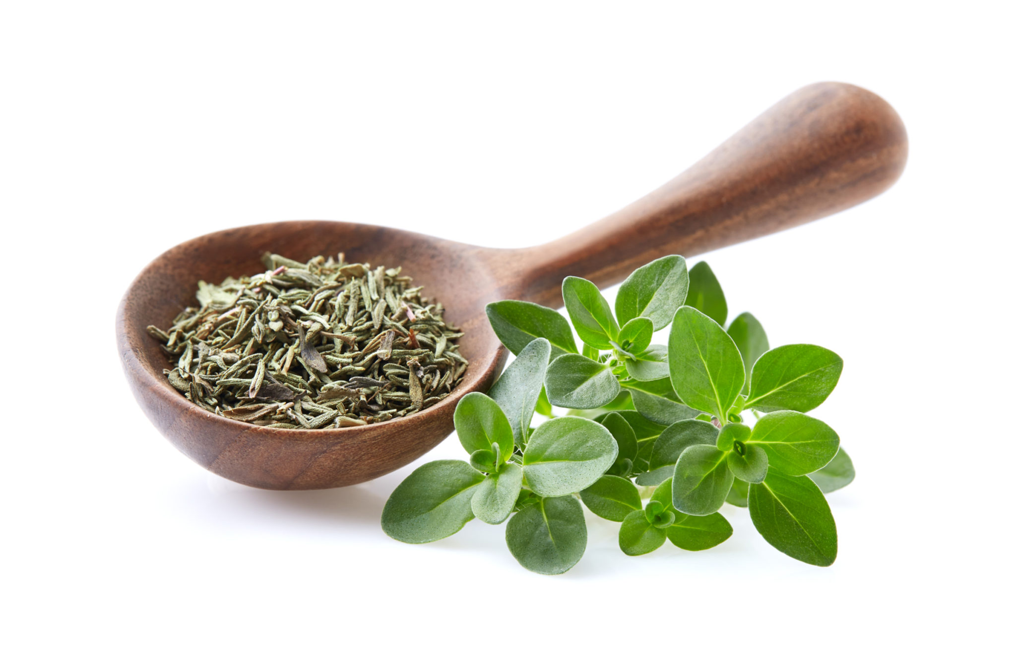 17 Best Thyme Substitutes in Cooking Tastylicious