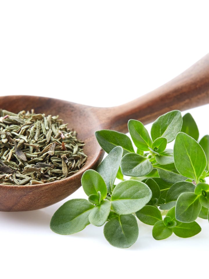 Lemon Thyme Substitutes The 6 Best Choices