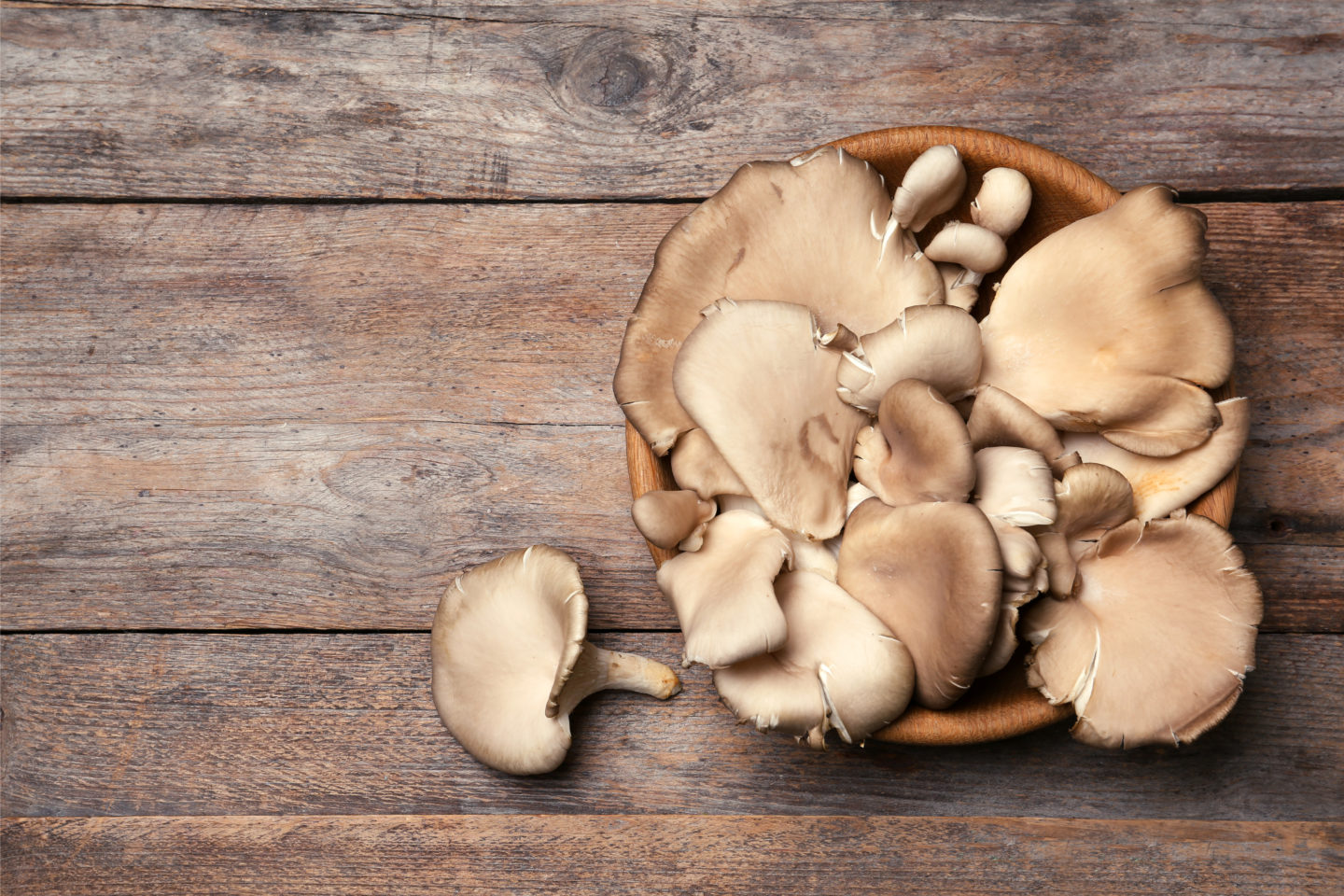 bunch of raw oyster mushrooms in bowl