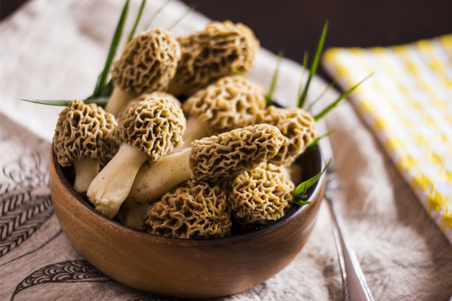 raw morel mushrooms in small bowl