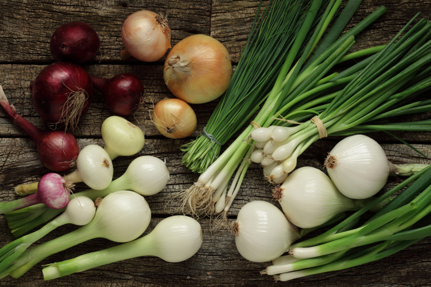 different types of onions