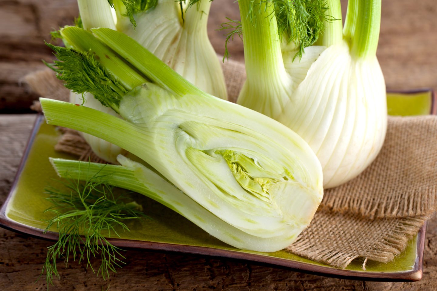 fennel bulbs