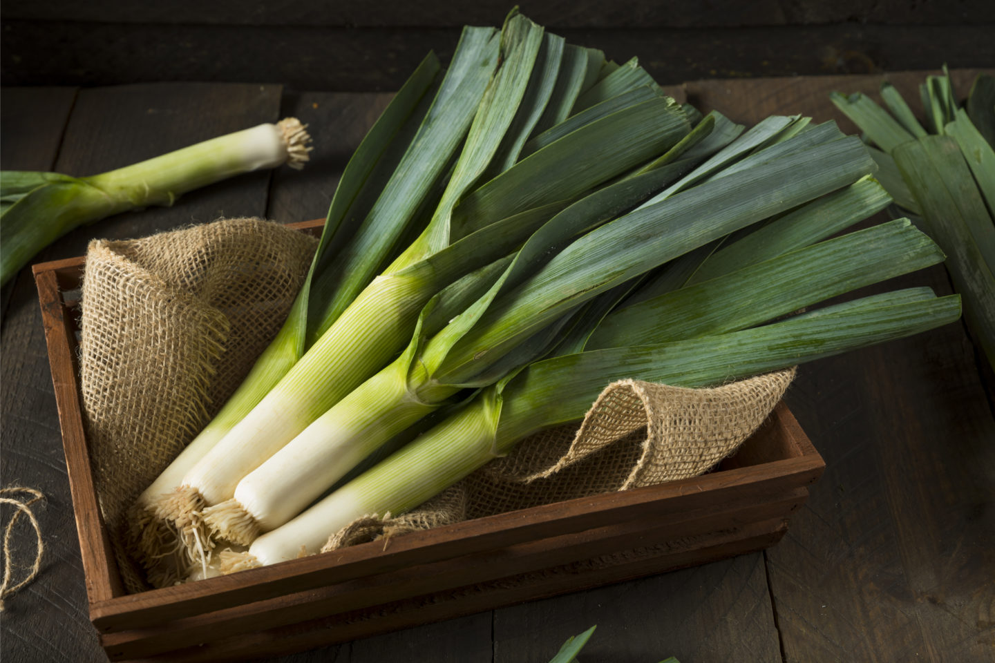 leeks as a green onion substitute