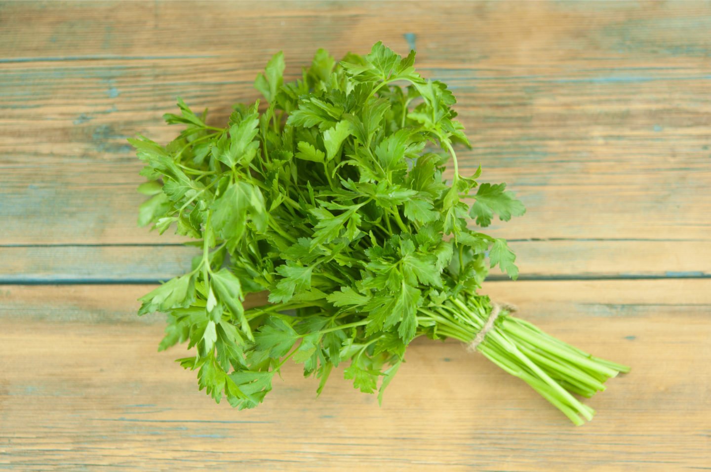 parsley as a green onion substitute