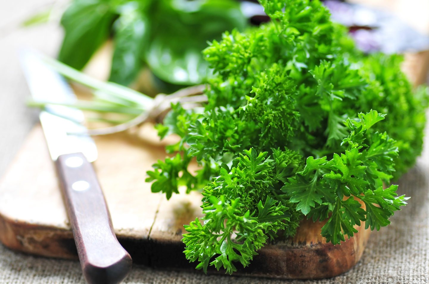 fresh parsley on cutting board with knife