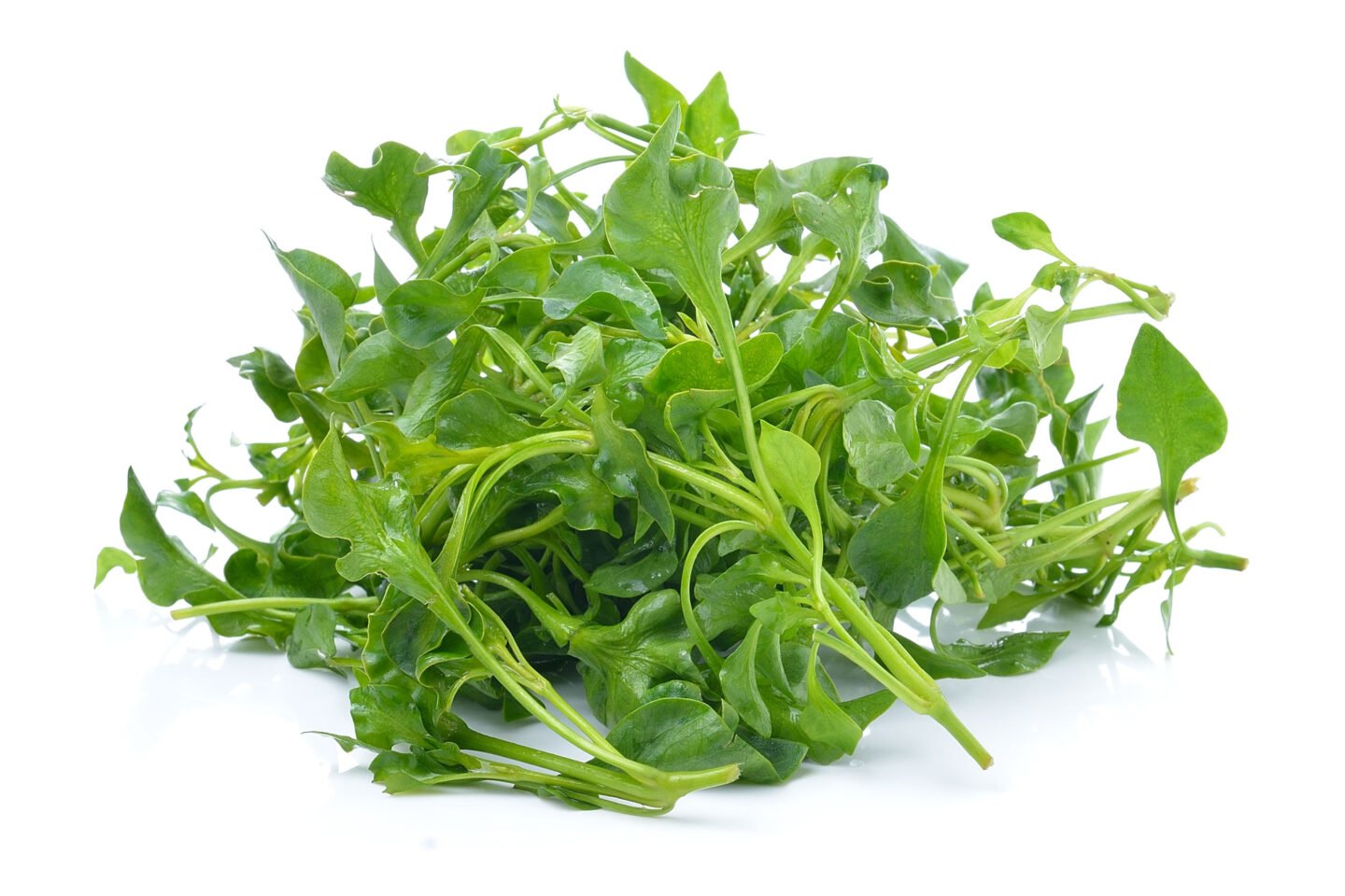 fresh watercress stalks and leaves