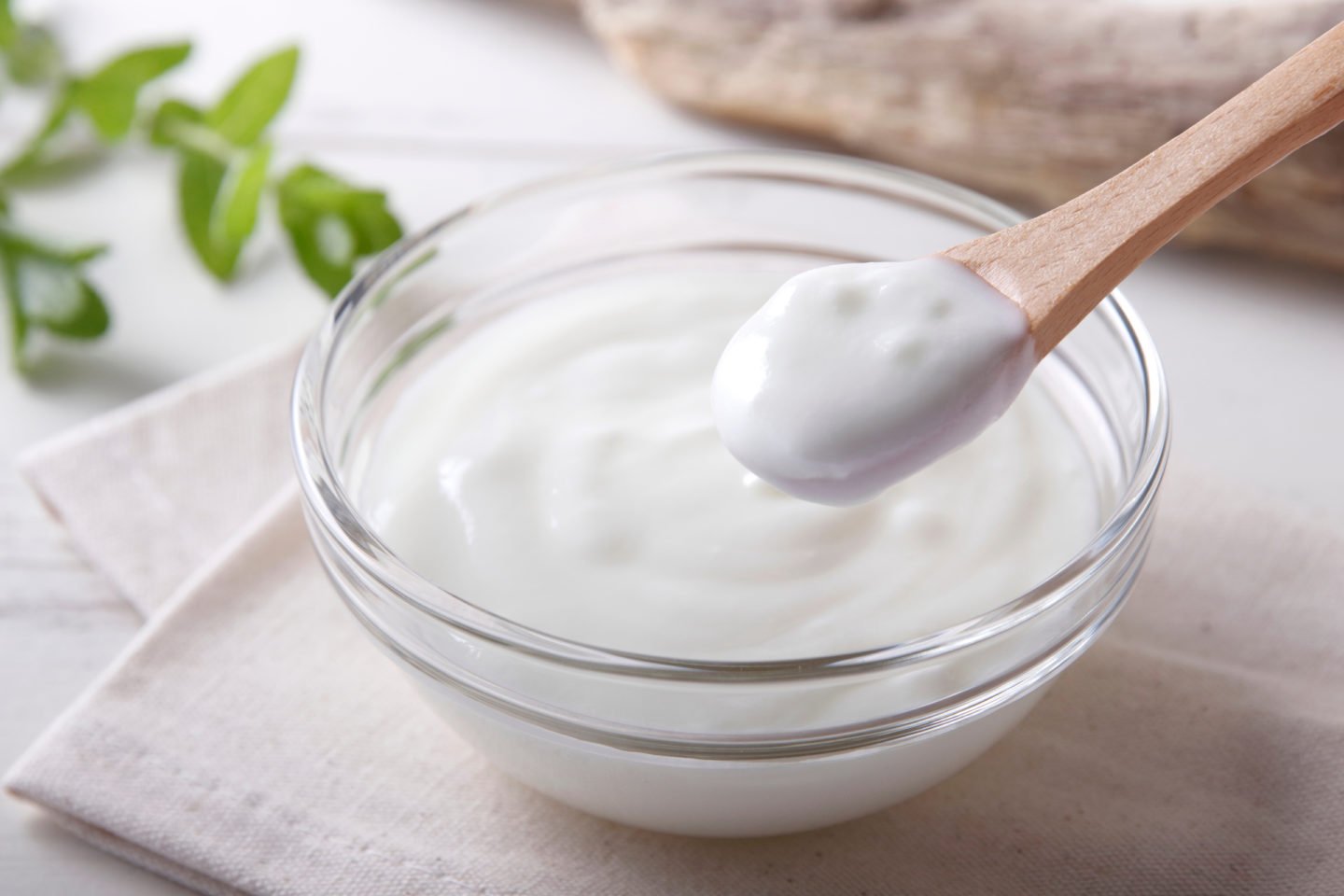 fresh yogurt in a bowl