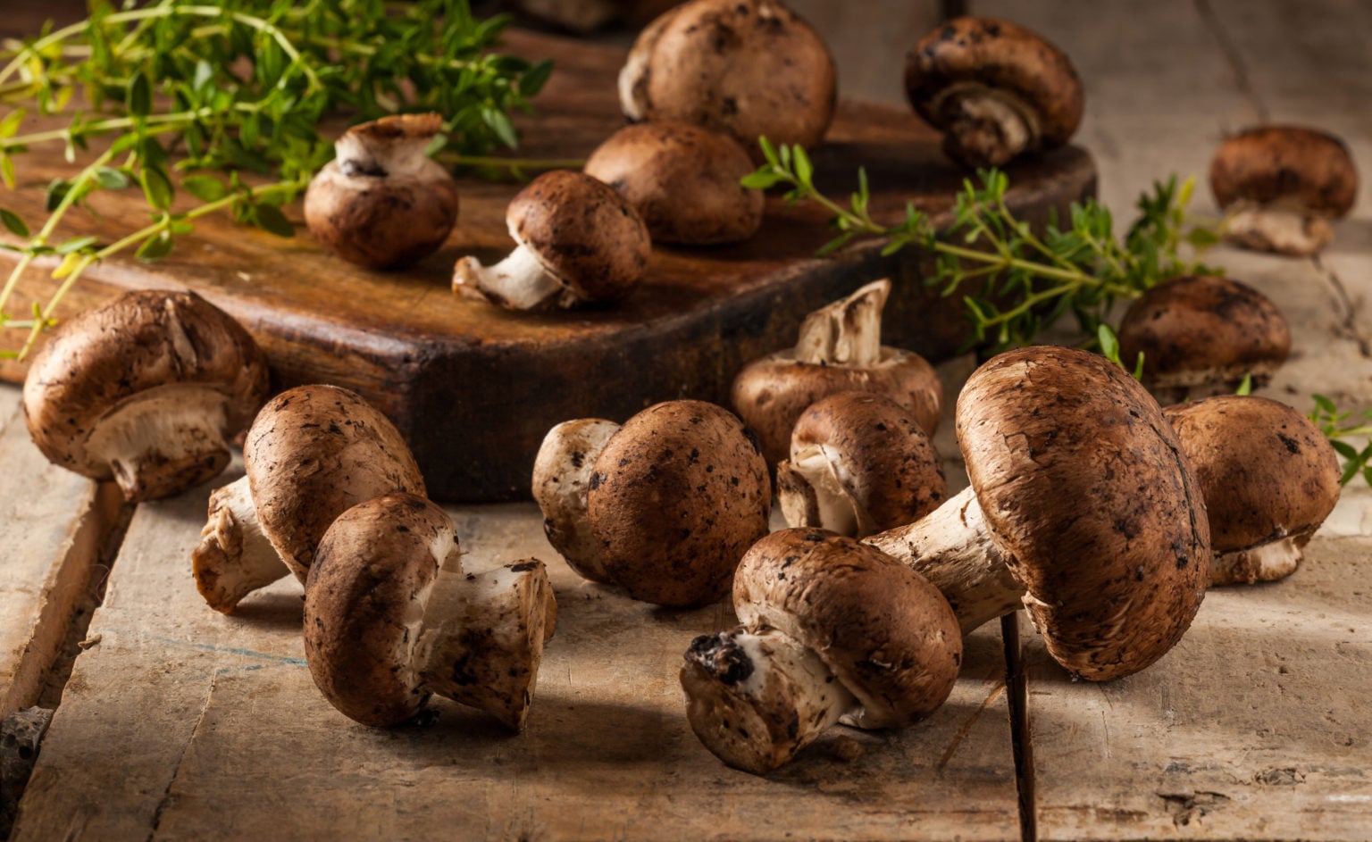 16 Best Cremini Mushroom Substitutes for Cooking - Tastylicious