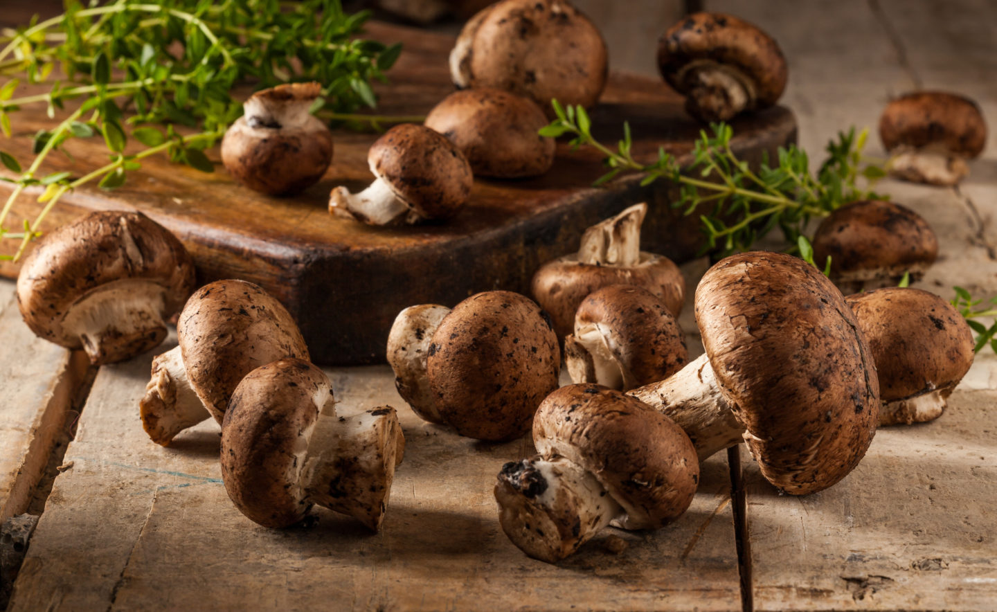 raw portobello mushrooms scattered with dirt