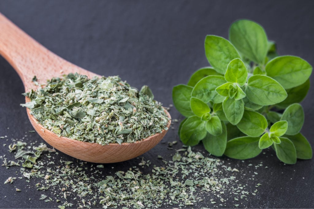 17 Best Thyme Substitutes in Cooking - Tastylicious